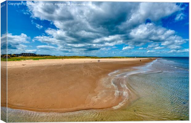 St. Andrews West Sands beach Canvas Print by Navin Mistry