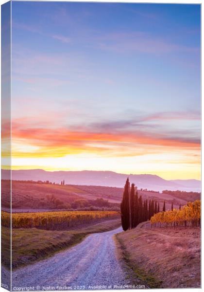 Vineyards at sunset, Tuscany, Italy  Canvas Print by Justin Foulkes