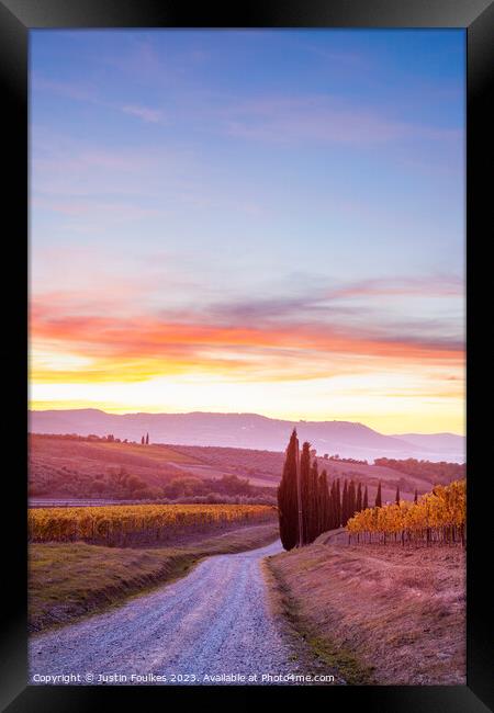Vineyards at sunset, Tuscany, Italy  Framed Print by Justin Foulkes
