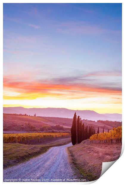 Vineyards at sunset, Tuscany, Italy  Print by Justin Foulkes