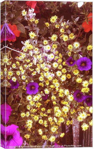 Flowers Canvas Print by Andrew Middleton