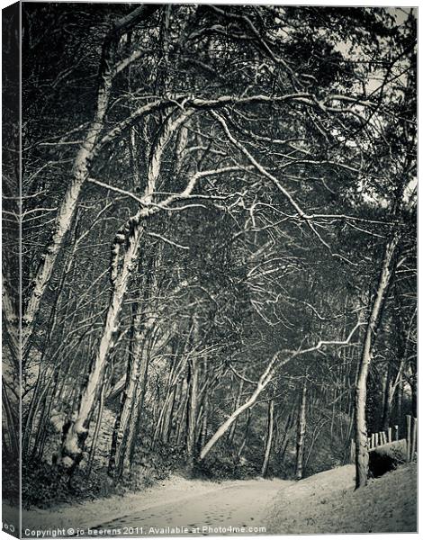 winter silence Canvas Print by Jo Beerens