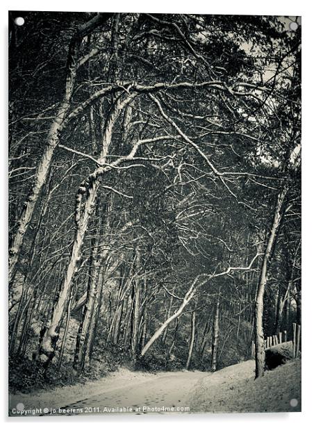 winter silence Acrylic by Jo Beerens