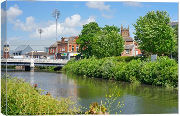 Taunton Somerset Canvas Print by Alison Chambers