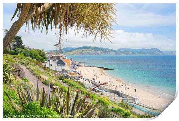 Lyme Regis View Print by Alison Chambers