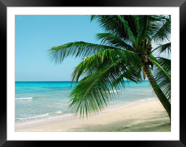 Leaning Palm tree Framed Mounted Print by Mehul Patel
