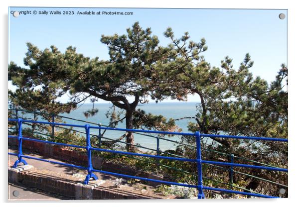 blue railings and pine trees Acrylic by Sally Wallis