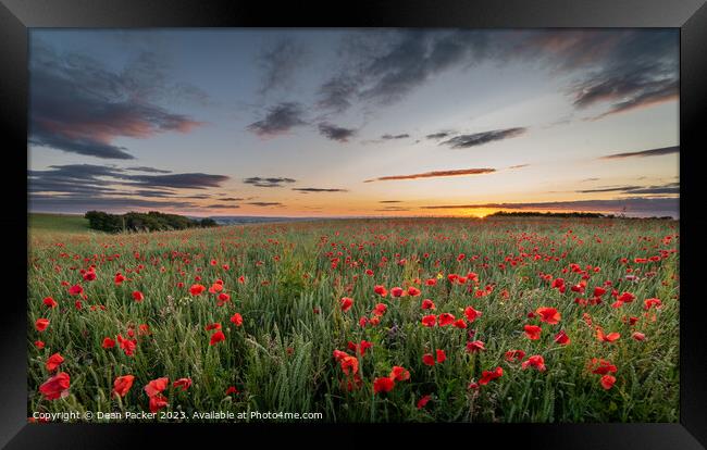 Vibrant Poppies Dancing in a Wildflower Meadow at  Framed Print by Dean Packer