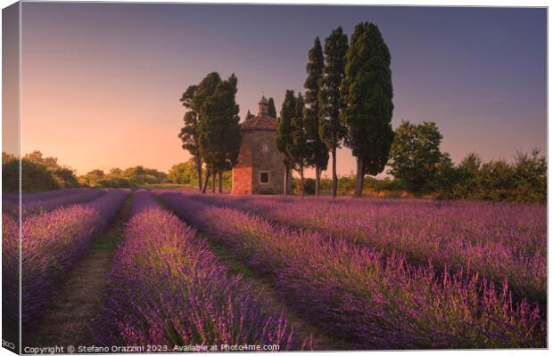 Lavender field, cypress trees and Oratorio di San Guido church.  Canvas Print by Stefano Orazzini