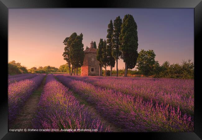 Lavender field, cypress trees and Oratorio di San Guido church.  Framed Print by Stefano Orazzini