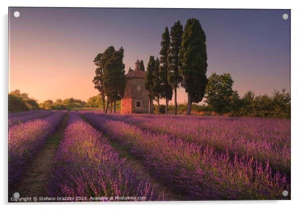 Lavender field, cypress trees and Oratorio di San Guido church.  Acrylic by Stefano Orazzini