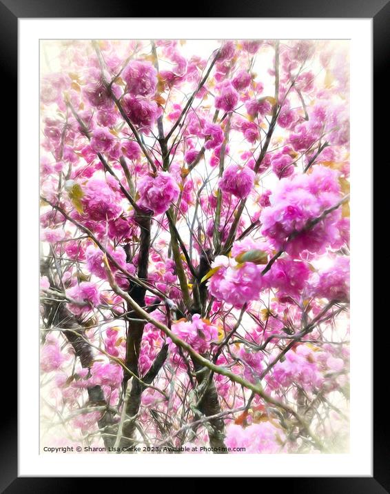Blossom Passion Framed Mounted Print by Sharon Lisa Clarke