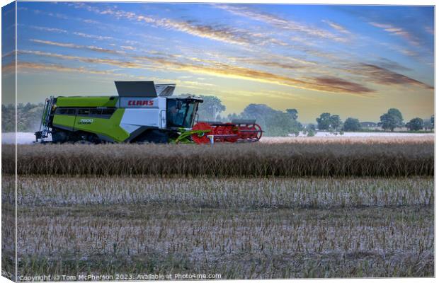 Reaping the Harvest Canvas Print by Tom McPherson