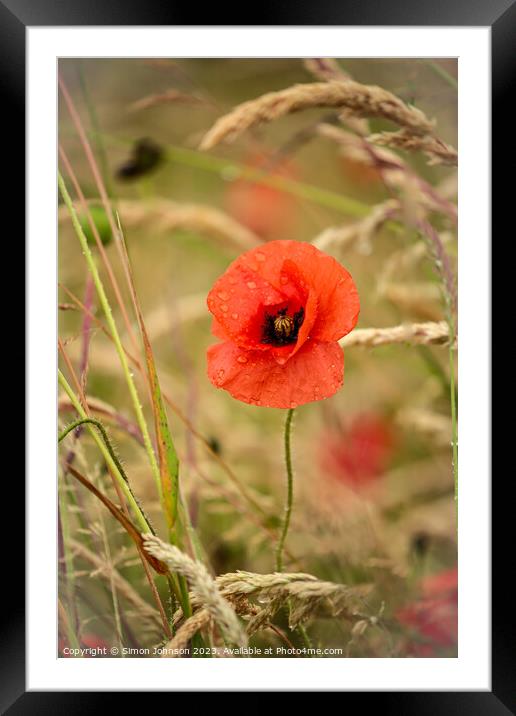 Plant flower Framed Mounted Print by Simon Johnson