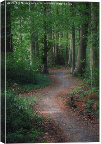Down The Winding Path Canvas Print by Christine Lake