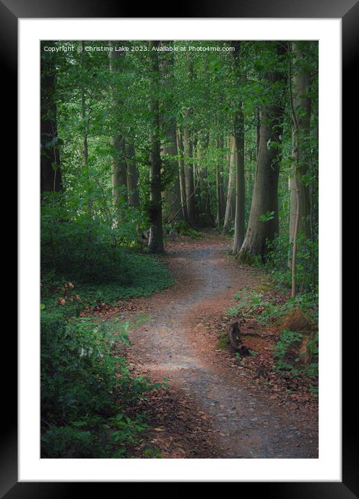 Down The Winding Path Framed Mounted Print by Christine Lake