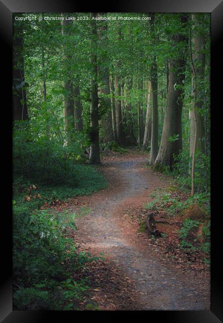Down The Winding Path Framed Print by Christine Lake