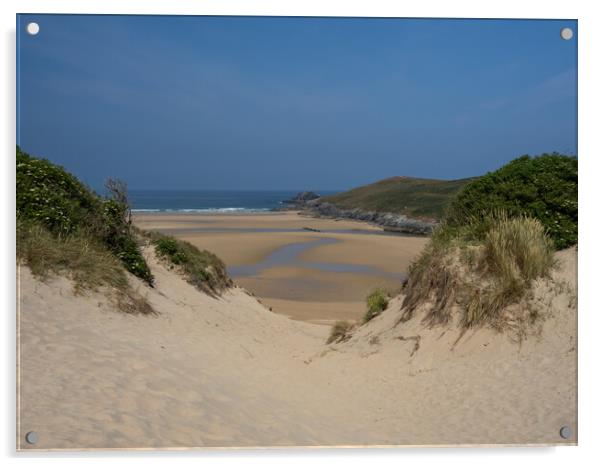 Cornish Sand Dunes Acrylic by Tony Twyman