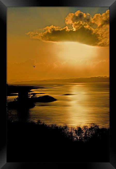 Castle Stalker Sunset Framed Print by Jacqi Elmslie