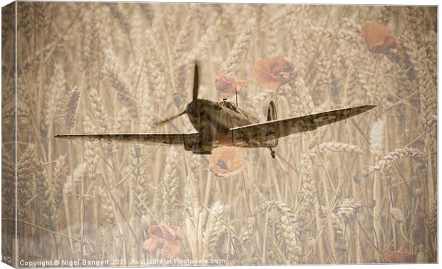 Memorial Flight Canvas Print by Nigel Bangert