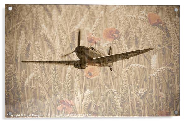 Memorial Flight Acrylic by Nigel Bangert