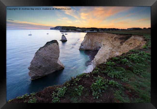 Freshwater Bay at sunset Framed Print by Andrew Ray