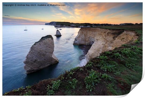 Freshwater Bay at sunset Print by Andrew Ray