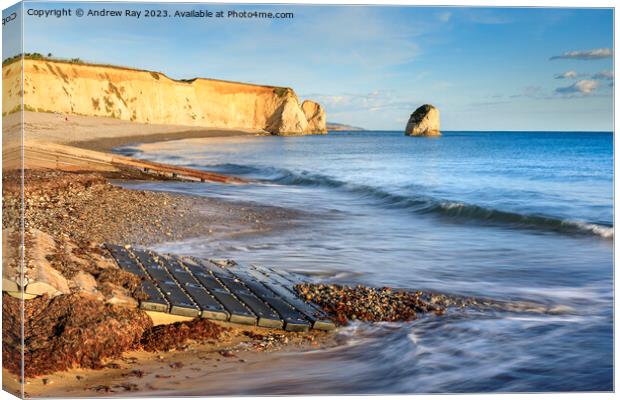Slipways at Freshwater Bay Canvas Print by Andrew Ray