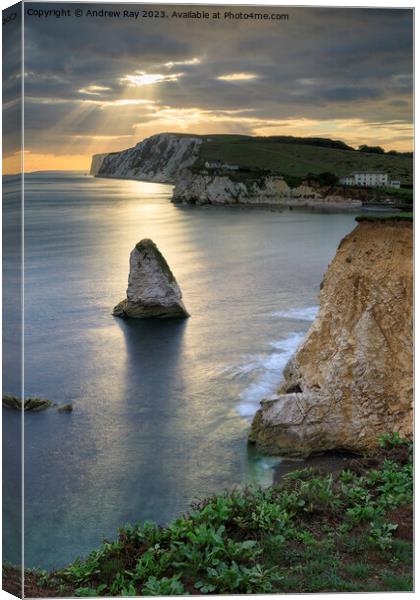 Shafts of light over Freshwater Bay Canvas Print by Andrew Ray