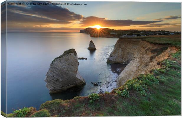 Towards the setting sun (Freshwater Bay) Canvas Print by Andrew Ray