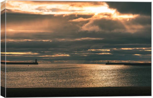 Tynemouth Canvas Print by Tim Hill