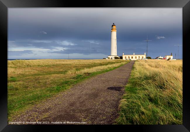 Towards Barns Ness Lighthouse Framed Print by Andrew Ray