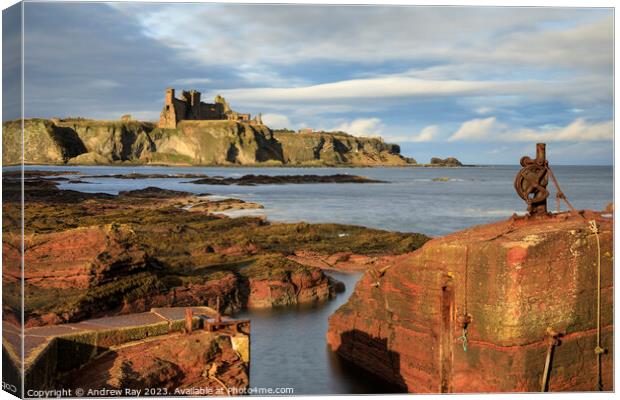 Tanstallon Castle from Seacliff Harbour  Canvas Print by Andrew Ray