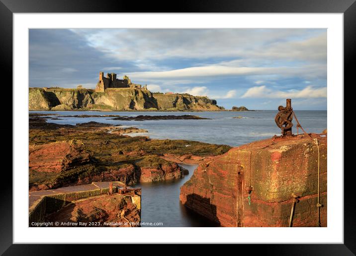 Tanstallon Castle from Seacliff Harbour  Framed Mounted Print by Andrew Ray