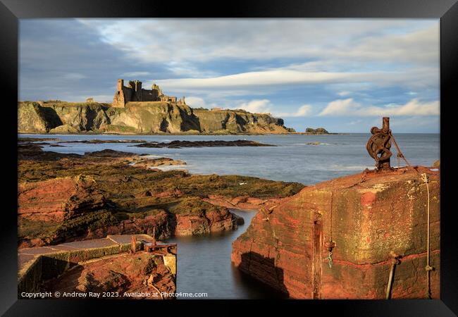Tanstallon Castle from Seacliff Harbour  Framed Print by Andrew Ray