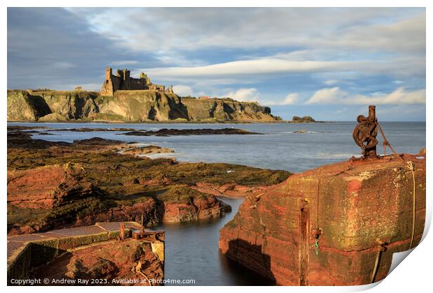 Tanstallon Castle from Seacliff Harbour  Print by Andrew Ray