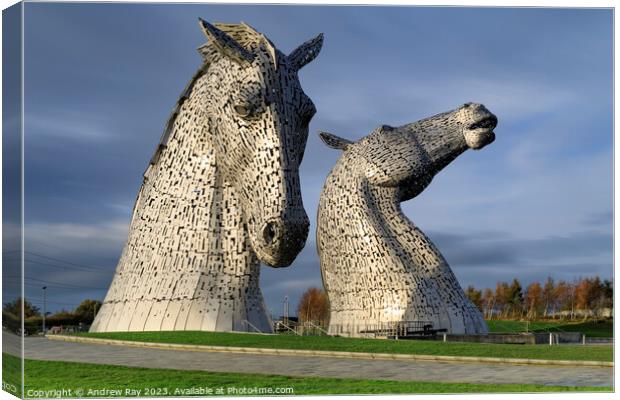 Kelpies Canvas Print by Andrew Ray
