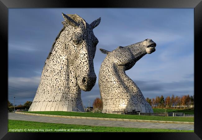 Kelpies Framed Print by Andrew Ray