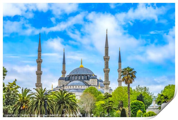 Blue Mosque Dome Minarets Trees Istanbul Turkey Print by William Perry