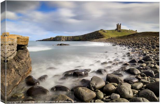 Rocky shore (Dunstanburgh Castle) Canvas Print by Andrew Ray