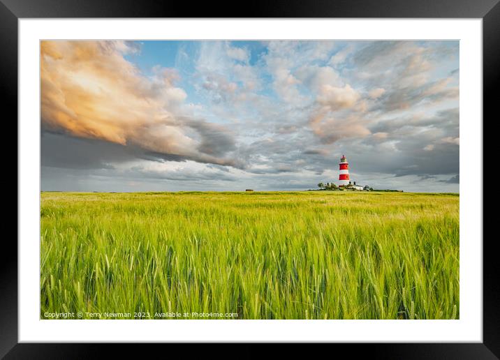 Golden Horizon: A Serene Meadow with a Captivating Framed Mounted Print by Terry Newman