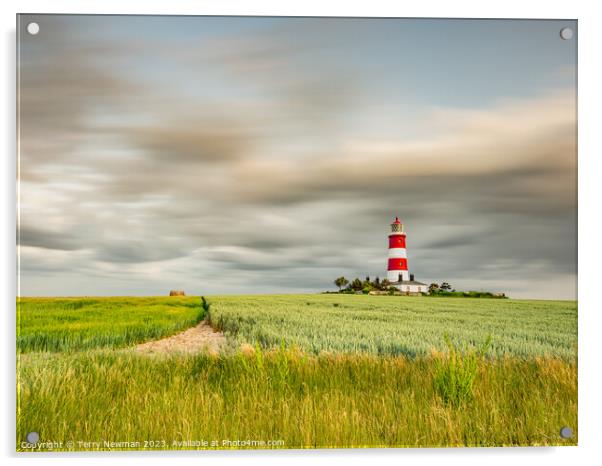 Happisburgh Lighthouse with a dramatic sky Acrylic by Terry Newman