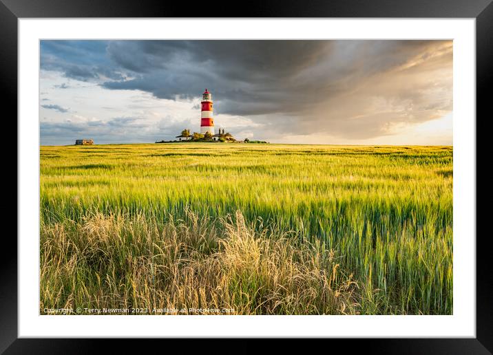 Happisburgh Lighthouse at Sunset Framed Mounted Print by Terry Newman
