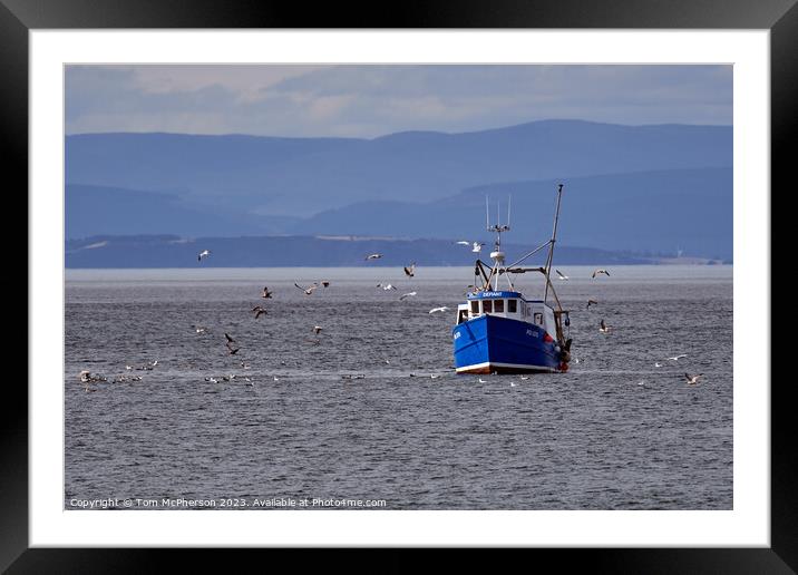 "Serene Dusk: Fishing Boats Adorn the Moray Firth" Framed Mounted Print by Tom McPherson