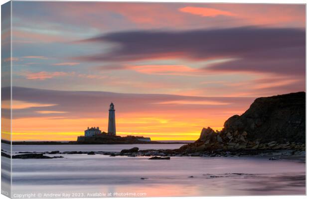 St Mary's Lighthouse at sunrise from Old Hartley Canvas Print by Andrew Ray