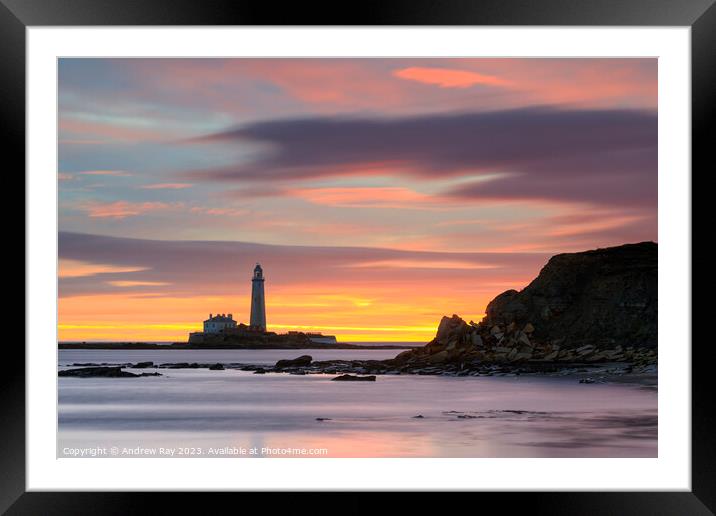 St Mary's Lighthouse at sunrise from Old Hartley Framed Mounted Print by Andrew Ray