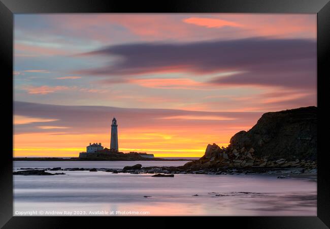St Mary's Lighthouse at sunrise from Old Hartley Framed Print by Andrew Ray