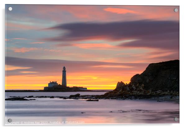 St Mary's Lighthouse at sunrise from Old Hartley Acrylic by Andrew Ray