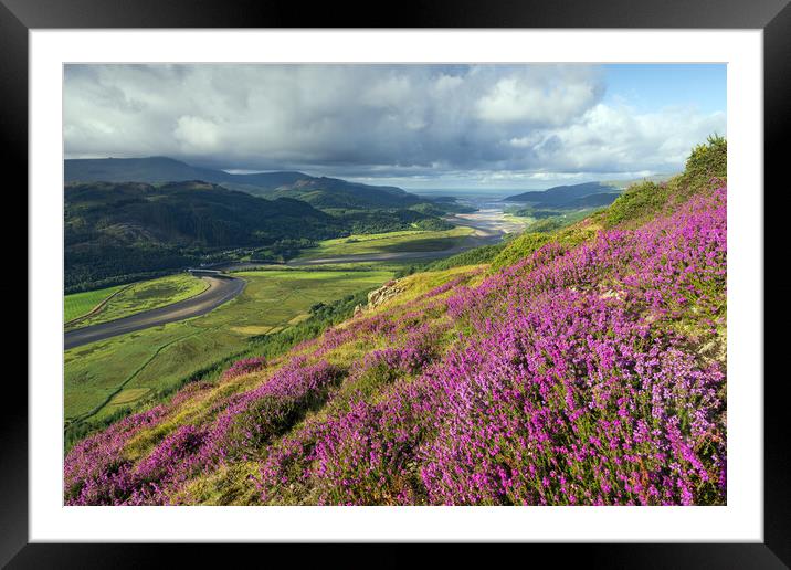 Mawddach Estuary Framed Mounted Print by Rory Trappe
