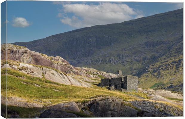 Cwmorthin Slate Quarry Canvas Print by Rory Trappe
